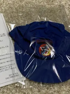 乃木坂46 中西アルノ 乃木フェス サイン入り プリントカードホルダー