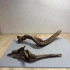 水槽用流木 2本セット S186