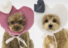 3coins スリコ ペット用 ハート顔ハメ バレンタイン ピンク ホワイト