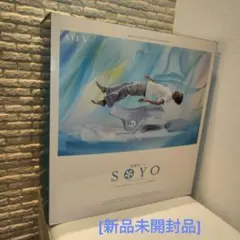 Item thumbnail for item a1c03505-a317-4878-9d95-8ec2b96a3516