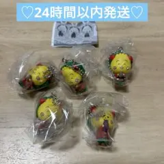 COJI-COJIスイング〜遊んで食べて寝てるだけ〜 5個セット