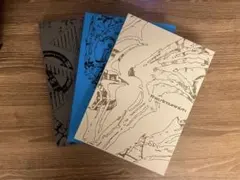 ENHYPEN THE SIN:VANISH アルバム