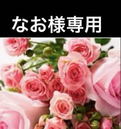 なお様専用ページ　リサージヴォーニュ４点セットのサムネイル