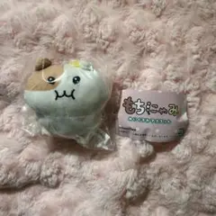 Item thumbnail for item 7b1200ce-5296-49f1-b35a-281f9fd781c7