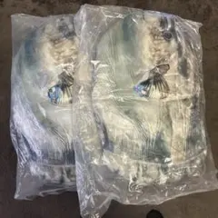 【最終値下げ】巨大マンボウぬいぐるみ！　2個　新品　未開封　未使用　タグ付き