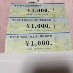 ビックカメラ 株主優待 3000円分