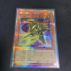 YAC 魔の龍札ー金龍(PSE)