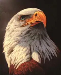 ☆ダイヤモンドアートキット《鷹（タカ）》☆【ラウンドビーズ】☆