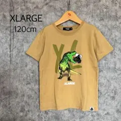 エクストララージキッズ　X-LARGE 恐竜ロゴ　Tシャツ　110〜120cm