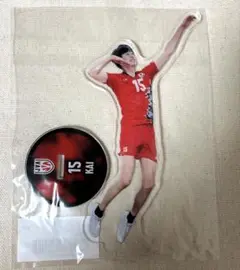 男子バレー スポーツ選手