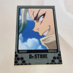 Dr.STONE オンラインくじ 読書の秋編 缶バッジ 石神千空 - メルカリ