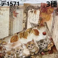 [デ1571] An様 デザインペーパー