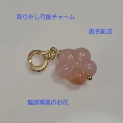 Item thumbnail for item 858340d9-fd78-4d7e-af02-c52ad0e2f383