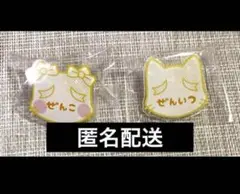 我妻善逸 善子 鬼滅の刃 遊郭編 ナンジャタウン ネームバッチ ネームバッジ