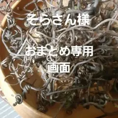 ドライフラワー素材！おまとめ専用