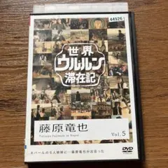 タヌキの尻尾は縞じゃない？　様専用