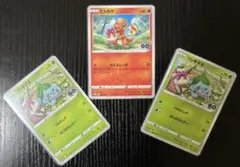 ポケモンカード プロモ 2種3枚セット（フシギダネ・ヒトカゲ）