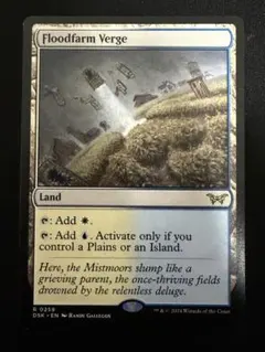 MTG グルームレイクの境界/Gloomlake Verge EN - メルカリ