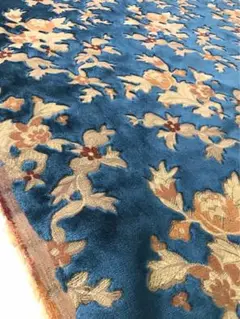 金華山　ネオプリンセス　ブルー　kinkazan