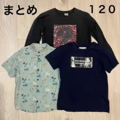 ZARA 3点　まとめ売り　Tシャツ　120㎝　キッズ