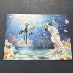 矢澤宏太 cross ocean 直筆サイン 10枚限定 - メルカリ