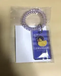 刀剣乱舞 湯浴みコレクション 明石国行 キーホルダー