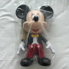 2026年最新】香港ディズニー ポップコーンの人気アイテム - メルカリ