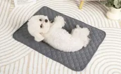 Item thumbnail for item e2d5a053-c139-4157-a19b-eab5586e5c9b