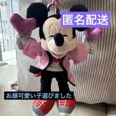 ディズニーストア ミニーの日 ぬいぐるみキーホルダー ミッキー キーチェーン ⑧