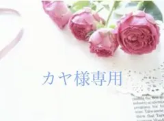 オーダー品 4点 おとぎ話ネコ柄ラミネートポーチなど - メルカリ