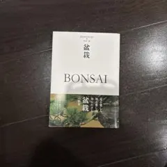 Item thumbnail for item 407627f8-d0ba-4d83-912e-549b79ce1a72