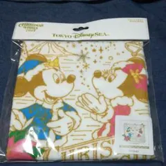 ディズニー　ウォッシュタオル　2017　クリスマスウィッシュ　シー