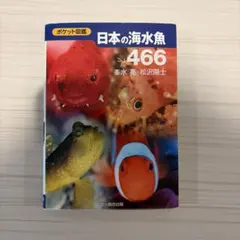 日本の海水魚466 : ポケット図鑑
