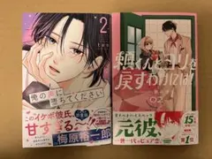 Item thumbnail for item cf8aed89-a394-4167-bb38-1b0a1476f08d