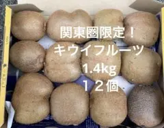 関東圏限定キウイフルーツ1.4kg １２個入り