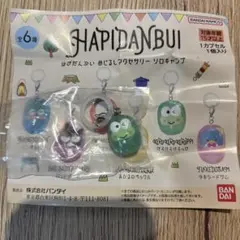 はぴだんぶい めじるしアクセサリー ソロキャンプ けろけろけろっぴ