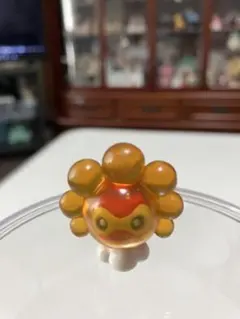ポケモン　ポワルン　たいようの姿　フルカラーアドバンス