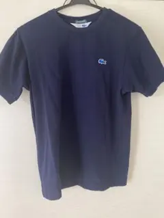 LACOSTE ラコステ SHIPS any別注 シップス 鹿子Tシャツ 青ワニ