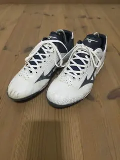 Item thumbnail for item b687a937-cbb2-49dd-b7aa-853371a89470