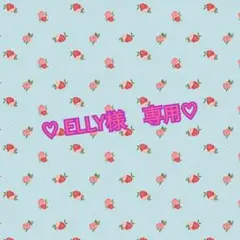 ♡ELLY様専用ページ♡