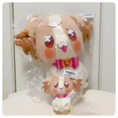 わんだふるぷりきゅあ！犬飼こむぎ２点セット