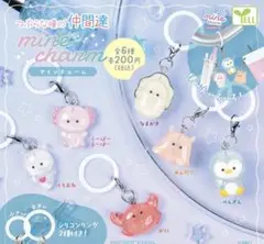 つぶらな瞳の仲間たち マインチャーム なまがき くりおね