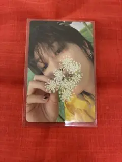 the8 タレントカード