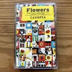 2025年最新】casiopea レコードの人気アイテム - メルカリ