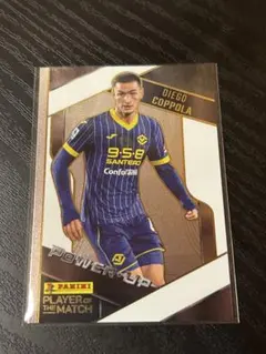 user_6aa33f4e様 リクエスト 2点 まとめ商品