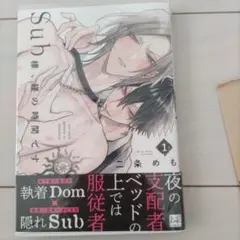 Sub 様、躾の時間です 1　二条めも