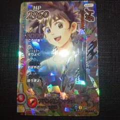 ヴァイスシュヴァルツブラウ ボンゴレ10代目候補ツナ TD SP リボーン