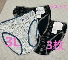 SALEにします！ストレッチ素材 伸縮性優れた お肌優しい ショーツ 3L 3枚