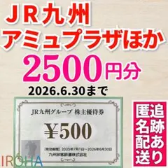 JR九州グループ 株主優待券（紙券） 2500円分 アミュプラザ 1日乗車券無し