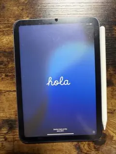 iPad mini 6 64gb wifi Apple Pencil ケース付き